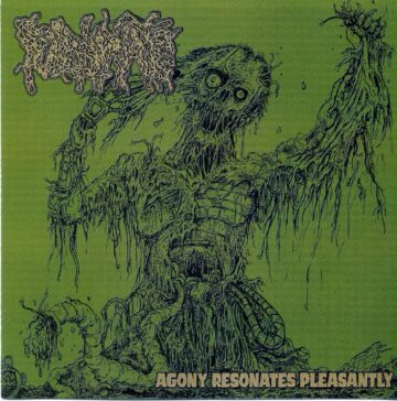 Cover for Fulminate - Agony Resonates Pleasantly
