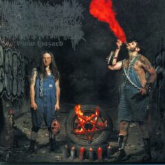 Orthopedic Cranial Encavement - Plow Hazard (Digi Pak)