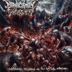 Cover for Fornication Excrement - Asphyxiating Ravenous of the Infinite Omnivore