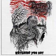Cover for Dripping Decay - Watching You Rot