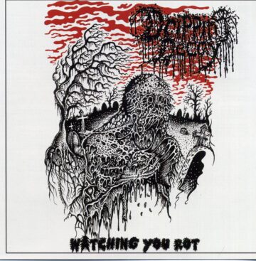 Cover for Dripping Decay - Watching You Rot