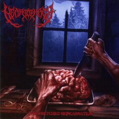 Cover for Hematophagy - The Wretched Reincarnation