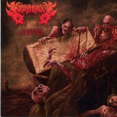Cover for Nephropexy - Spreading The Sickness