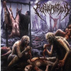 Cover for Perveration - Putrefaction of Infinite Apogee