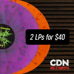 Cover for Two CDN LPs For $40