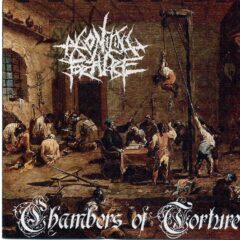 Cover for Agonizing Torture - Chambers of Torture