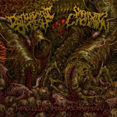Disfigurement of Flesh / Parasitic Ejaculation - Intracellular Impious Metamorphosis (Split 7" - Yellow)