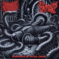 Desecrated Extinction / Hacked Up - Split CD