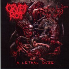 Cover for Crypt Rot / Radiologist - A Lethal Dose (Split CD)