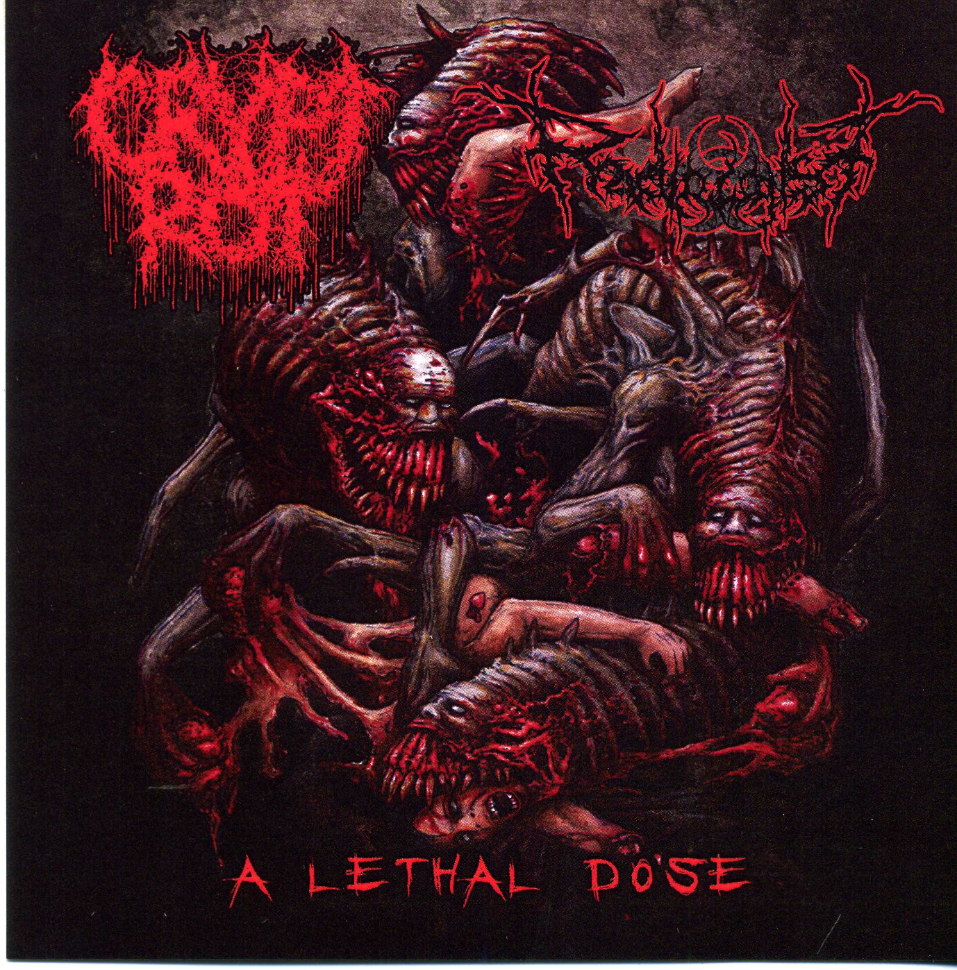 Cover for Crypt Rot / Radiologist - A Lethal Dose (Split CD)