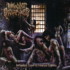 Cover for Innocent Decomposure - Incognitive Crave To Fornicate Euphoria