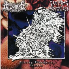 Cover for Rottenness / Seeping Protoplasm - Split CD