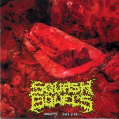 Cover for Squash Bowels - Dead​?​.​.​.​.​Not Yet​!​!​!