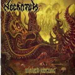 Cover for Necrotum - Defleshed Exhumation