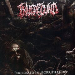 Cover for Inverecund - Engrossed In Horripilation