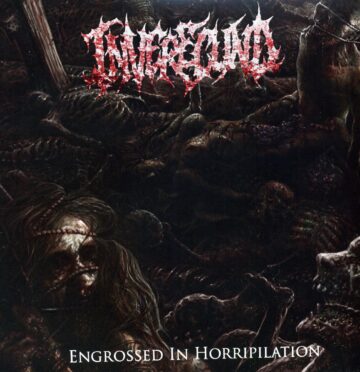 Cover for Inverecund - Engrossed In Horripilation