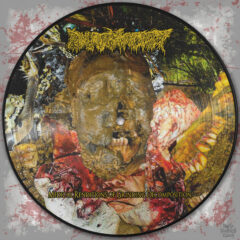 Cover for Pharmacist -  Medical Renditions Of Grinding Decomposition (12" Picture Disc)