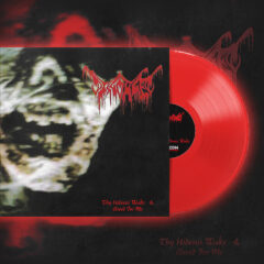 Mockup of DIsgorged vinyl