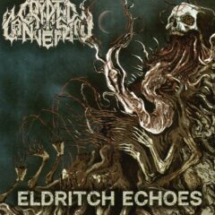 Cover for Cryptic Conversion - Eldritch Echoes