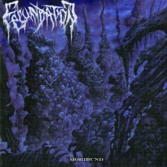 Cover for Fecundation - Moribund