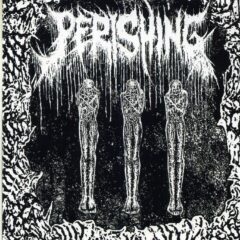 Cover for Perishing - Lutum