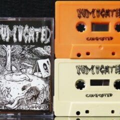 Fumigated - Composted (Cassette)