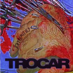 Cover for Trocar - Extremities