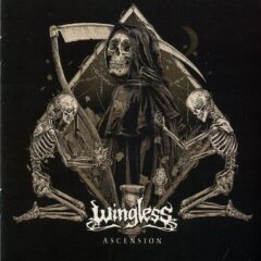 Cover for Wingless - Ascension