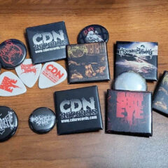 Photo of some pins and picks