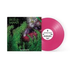 Cover for Wharflurch - Shittier / Slimier (Magenta LP)