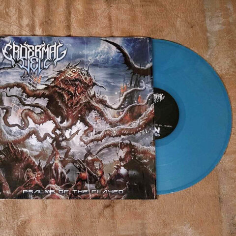 Epidermal Veil - Psalms of the Flayed (Transparent Blue LP) Photo of Epidermal Veil vinyl