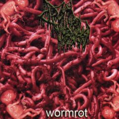 Cover for Drain of Impurity - Wormrot