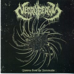 Cover for Necroferum - Visions from the Necrorealm