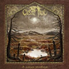 Cover for Olshanoe - Into The Wild