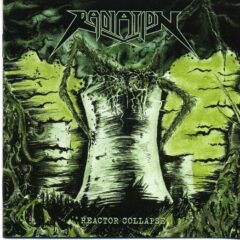 Cover for Radiation - Reactor Collapse