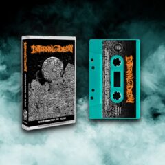 Cover for Internal Decay - Malformation of Flesh (Cassette)