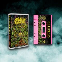 Cover for Phlegmesis - The New Wave of Rotten Fornication (Cassette)