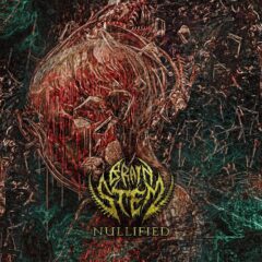 Cover for Brain Stem - Nullified