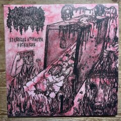 Cover for Mephitic Corpse – Sickness Attracts Sickness (LP Black)