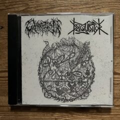 Cover for Chaotion - Deiquisitor - Split CD