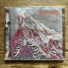 Cover for Hemorrhoid – Raw Materials of Decay