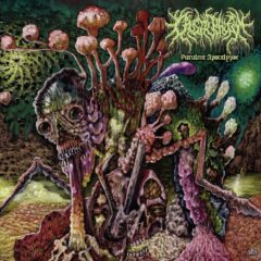 Caustic Phleghm - Purulent Apocalypse