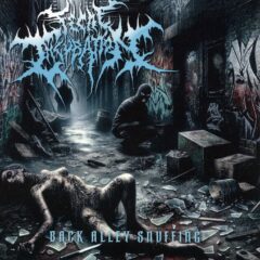 Fecal Incubation - Back Alley Snuffing