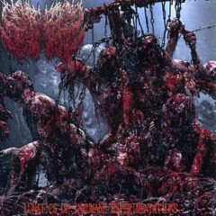 Surgical Defilement - Lunatics of Inhumane Experimentations