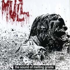 Mull - The Sound of Melting Gristle