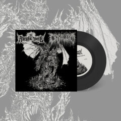 Archaic Tomb / Cryptworm - Persecution Paraphrenalia (7-Inch - Black)