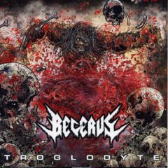 Becerus - Troglodyte
