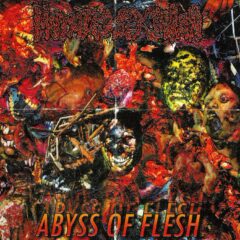 Mutated Sex Organ - Abyss of Flesh