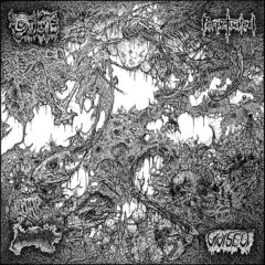 Oxalate / Perpetuated / Blood Spore / Vivisect - 4 Way Split