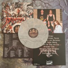 Prophecy - Our Domain (LP - Smoke Marble)